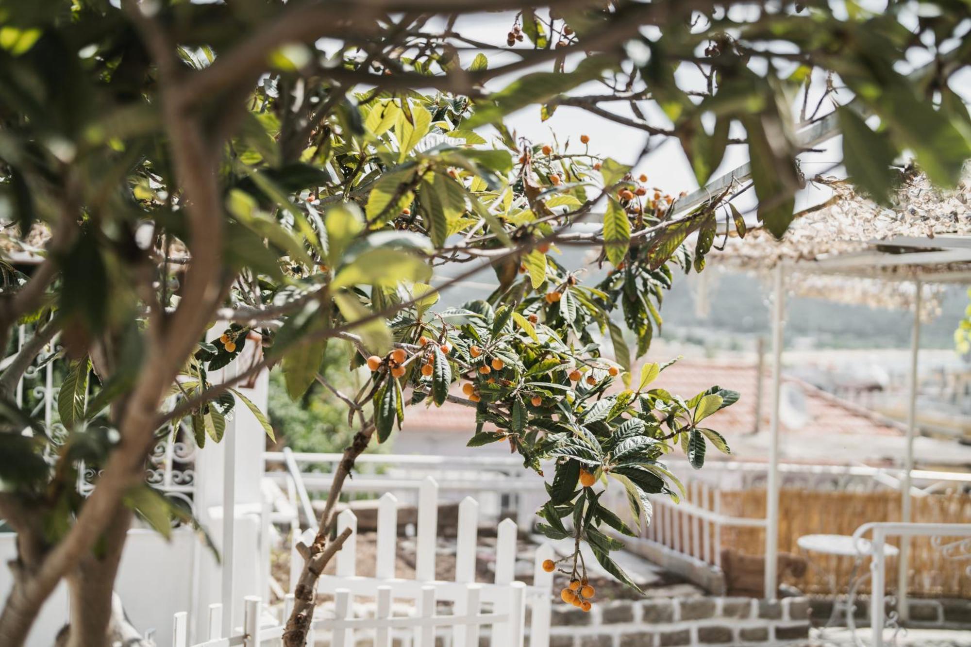 The Garden House Apartamento Cavala Exterior foto