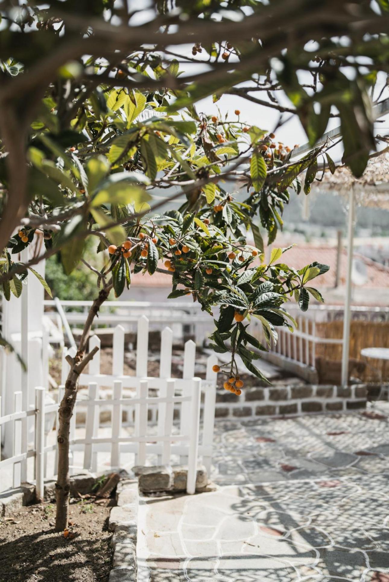 The Garden House Apartamento Cavala Exterior foto